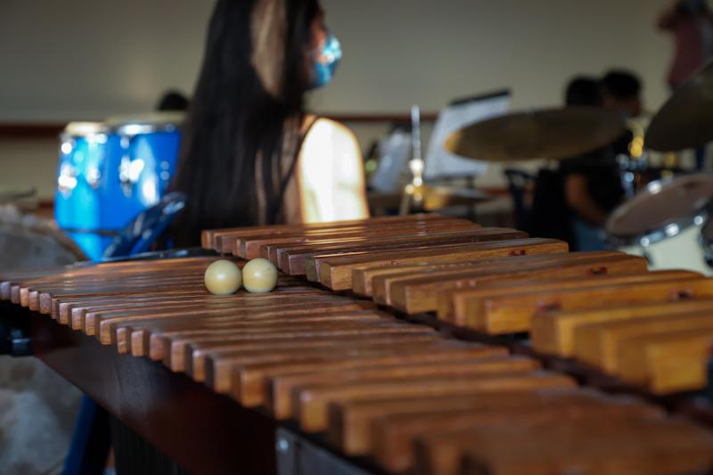 primer plano de marimba